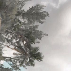 Meet your Posher, Makenzy